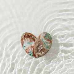 Minimal aesthetic still life, heart shape pearlescent seashells at sunlight, waves seawater,...
