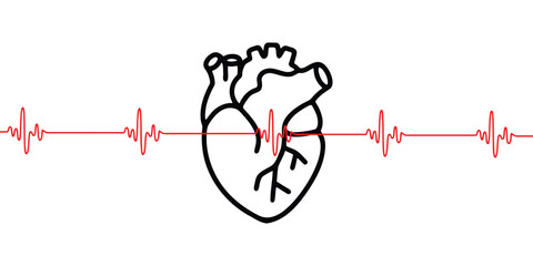 Vector illustration of a heart with an ECG wave line, symbolizing heart health and cardiovascular monitoring. This minimalist design is perfect for medical education.