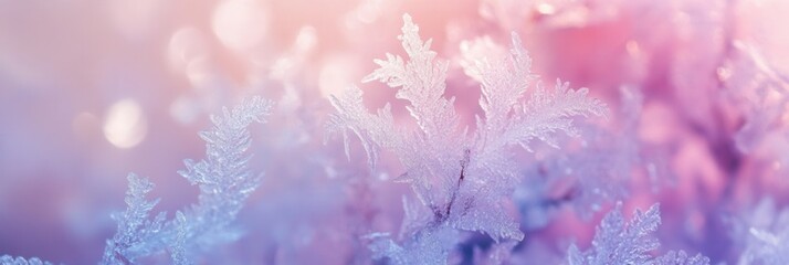 Obraz premium Delicate frost patterns and shimmering ice crystals create an abstract winter landscape at dawn with soft pastel hues