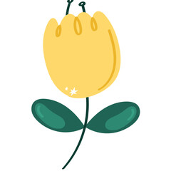 Leaves and flowers illustrations