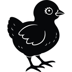 vector illustration of a baby chicken
