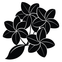 black and white flower