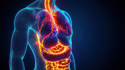 detailed illustration of human digestive system highlighting organs and pathways in vibrant, glowing style. image showcases complexity and interconnectedness of digestive tract