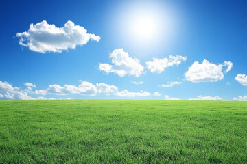 Fototapeta premium Bright blue sky with clouds over green grass field