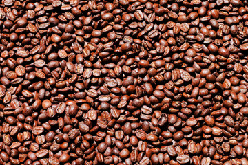 roasted coffee beans background, brown coffee beans.