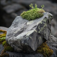 Life on Stone: A Granite Rock Adorned with Vibrant Moss and Thriving Vegetation, a Testament to Nature's Resilience.