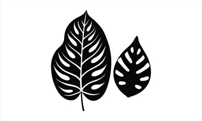 Monstera Leaves Black and White Design