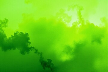 Fototapeta premium Abstract Green Cloud Background for Modern Designs