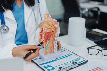 An Asian female doctor uses a respiratory system model while working on a computer, planning...