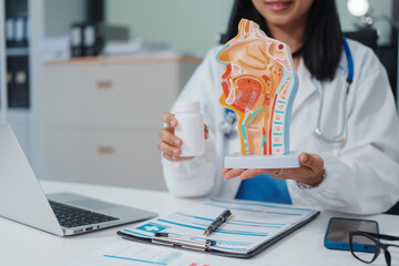 An Asian female doctor uses a respiratory system model while working on a computer, planning...