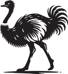 black ostrich vector illustration, ostrich silhouette vector, ostrich vector icon, ostrich silhouette vector black and white