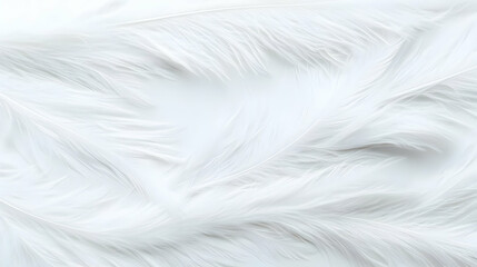 Obraz premium Elegant White Feathers on a Soft Background for Artistic Creations