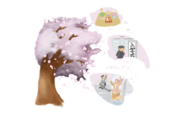 New life in the season of cherry blossoms