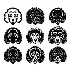Obraz premium Nine different poodle dog head designs with detailed curly fur patterns silhouette isolated on white background