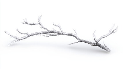Obraz premium Minimalist composition of a single frozen tree branch, suspended in an endless expanse of white