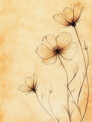 Naklejka premium Elegant hand drawn floral sketches on aged paper showcasing delicate line art in soft vintage tones with perfect golden ratio balance