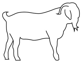 Black Outline Goat for Eid Adha