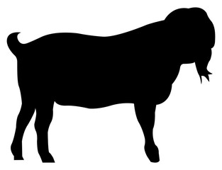 Black Silhouette Goat for Eid Adha