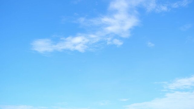 Pretty Smattering Smattering Images – Browse 8,693 Stock Photos, Vectors, and Video ...