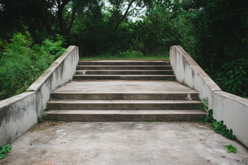 Concrete staircase leading into overgrown greenery, aged outdoor steps with weathered railings surrounded by lush vegetation in a quiet and mysterious setting