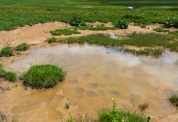 a sunny day, a nature park, a walk through the highlands and alpine expanses