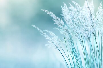 Light blue grass swaying in the wind with blurred background