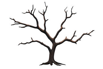 Obraz premium A barren tree with twisted branches, symbolizing nature's resilience.