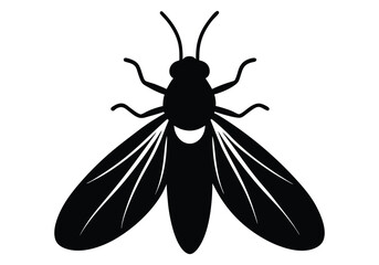 a silhouette insect in white background