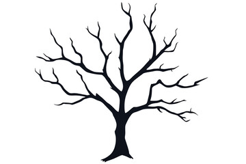 A silhouette of a bare tree with intricate branches.