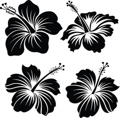 Vector set of black silhouettes of tropical hibiscus flowers isolated on a white background. © Koly Akter