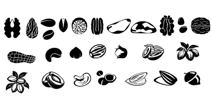 various nut set illustration almond,cashew, Walnut, pecan,pistachio sheed vector illustration icon set