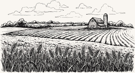 field hand drawing sketch engraving illustration style hand drawing sketch illustration © bow
