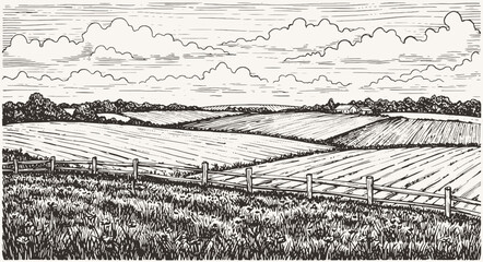 Vector sketch Green grass field on small hills. Meadow, alkali, lye, grassland, pommel, lea, pasturage, farm © bow