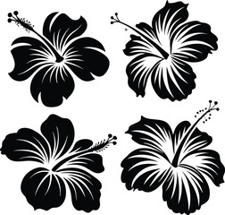 Vector set of black silhouettes of tropical hibiscus flowers isolated on a white background.