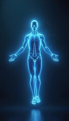 Modern blue light technology displays human body anatomy. Digital futuristic medical interface scans health data, body infographic, science concept. Hologram design, abstract illustration. Medicine,