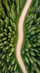 Eco-Journey Aerial Narrative Winding Forest Trail Unveiling Sustainable Adventure Tourism through Immersive Green Landscape Exploration