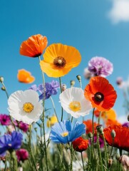 Obraz premium Regenerative Ecosystem Visualization Vibrant Wildflower Meadow Celebrating Biodiversity, Climate Resilience and Pollinator Conservation in High-Resolution 8K Nature