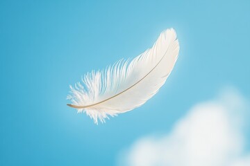Fototapeta premium Delicate white feather floating gently in a clear blue sky nature scene peaceful environment aerial view serenity concept for tranquil atmosphere