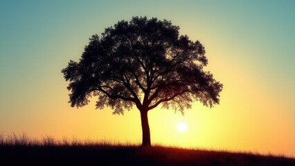 Fototapeta premium A tree silhouette stands against a vibrant sunset sky, creating a serene and picturesque scene.