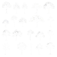 Obraz premium Elegant Tree Line Art 