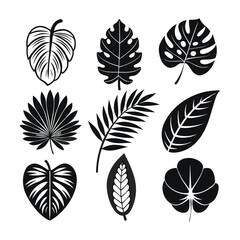 set of different black Tropical leaves icons of silhouette vector illustration
