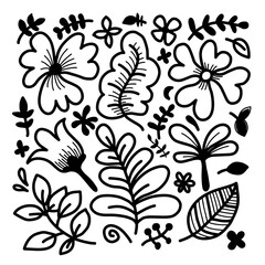 Hand drawn line leaves branches and blooming. Floral doodle design elements. 