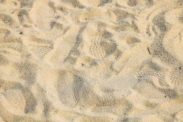 Fine beach sand in the summer sun