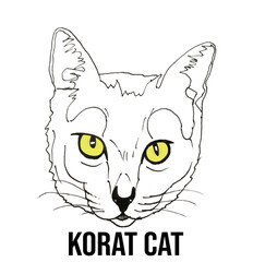 Korat Cat