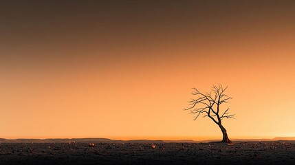 Obraz premium Climate Change drought idea. A solitary tree stands against a vibrant sunset sky, evoking tranquility and solitude.