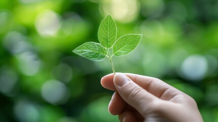 A hand holds a vibrant green leaf, showcasing nature's beauty against a lush, blurred background of greenery.