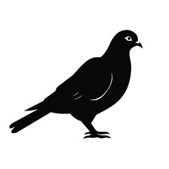 Fototapeta premium simple silhouette of a pigeon