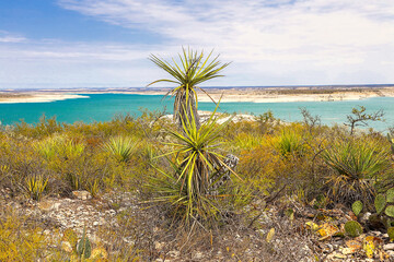 Amistad Reservoir is a reservoir on the Rio Grande at its confluence with the Devils River 12 miles...