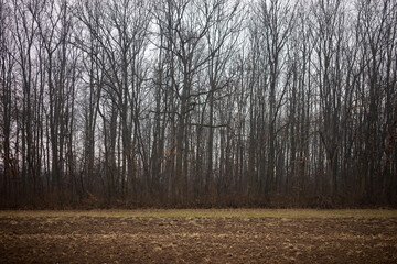 Fototapeta premium Landscapes of the Serbian countryside during winter