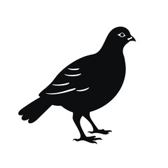 Fototapeta premium black silhouette of a partridge